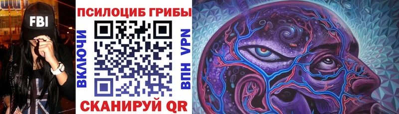 цена наркотик  MEGA tor  Псилоцибиновые грибы мухоморы  маркетплейс официальный сайт  Завитинск 